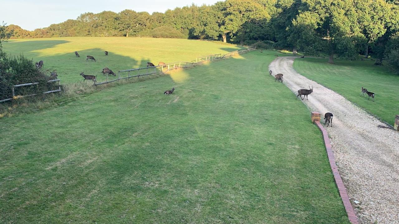 Yards Brake On 40 Acres Of Private Land Villa Langton Matravers Екстериор снимка