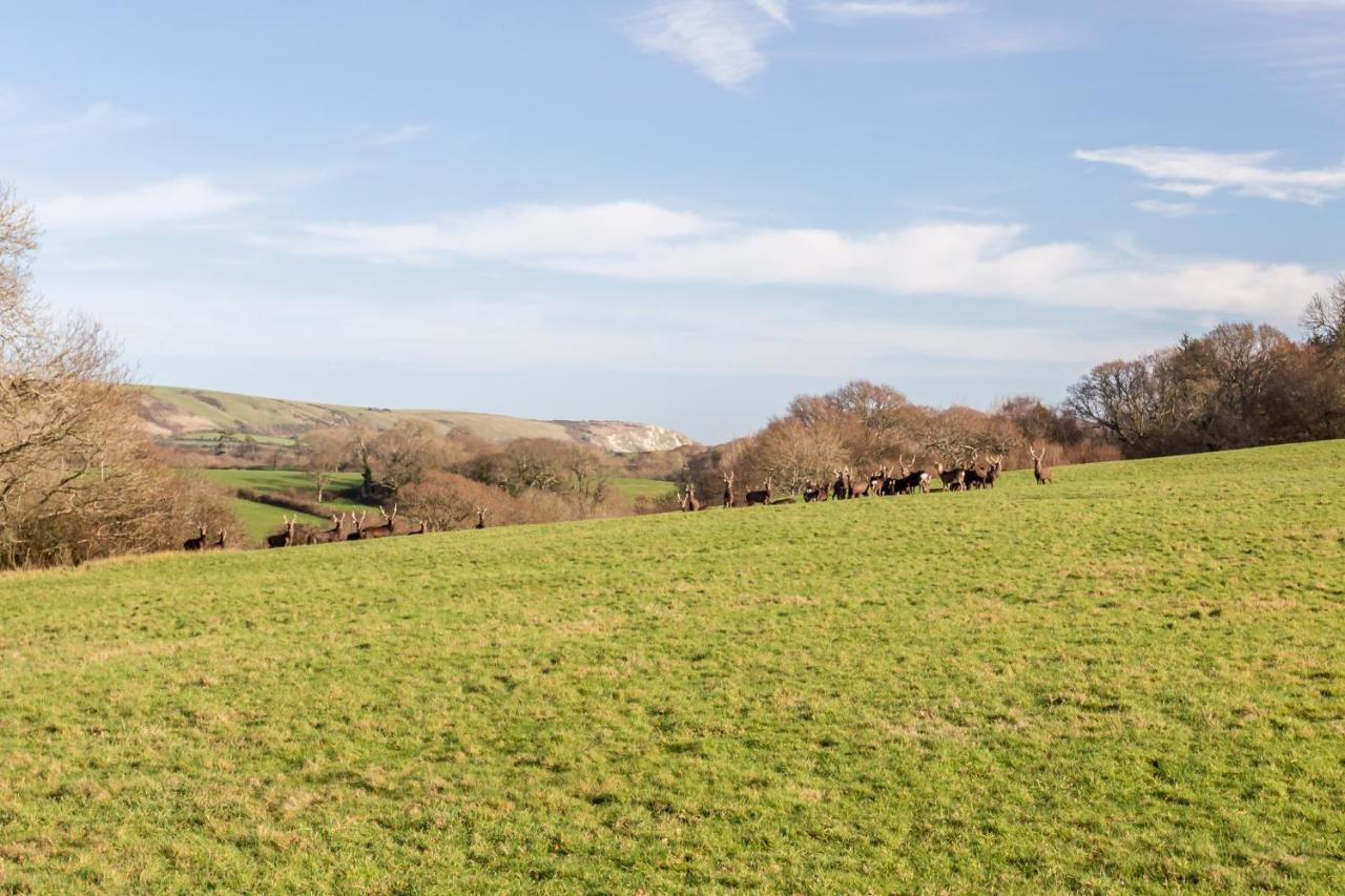 Yards Brake On 40 Acres Of Private Land Villa Langton Matravers Екстериор снимка